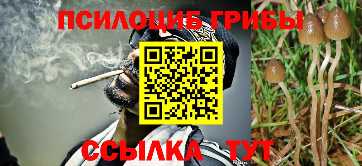 Галлюциногенные грибы Magic Shrooms Кострома
